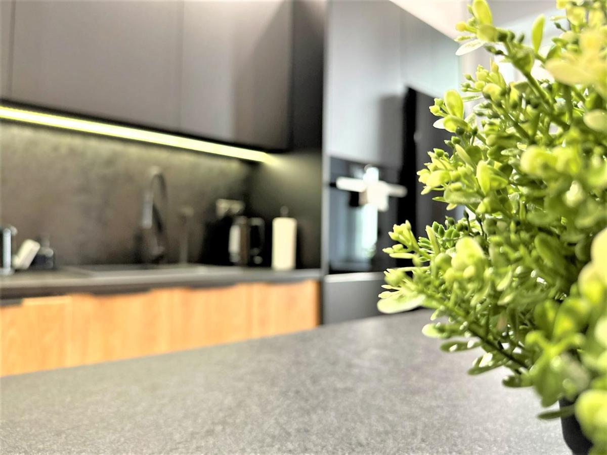 Luxury 100M2 Loft Design-Apartment At Wawel + Netflix Krakow Bagian luar foto