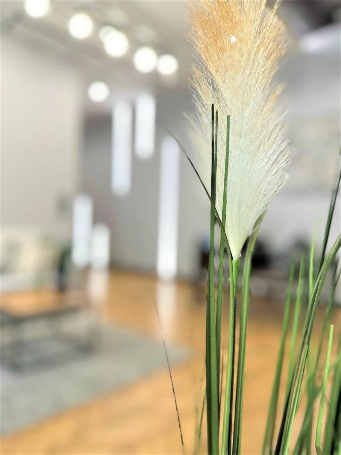 Luxury 100M2 Loft Design-Apartment At Wawel + Netflix Krakow Bagian luar foto